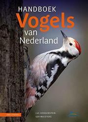 Foto van Handboek vogels van nederland - ger meesters, luc hoogenstein - hardcover (9789050119412)