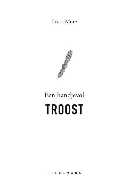 Foto van Een handjevol troost - liz is more - paperback (9789463832779)