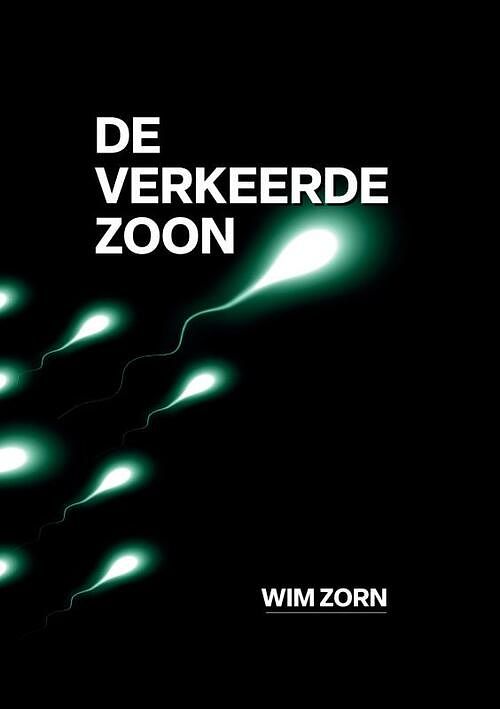 Foto van De verkeerde zoon - wim zorn - paperback (9789464806922)