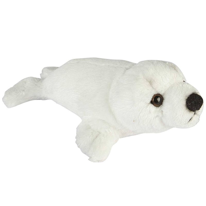 Foto van Pluche knuffel dieren witte zeehond pup van 15 cm - knuffel zeedieren