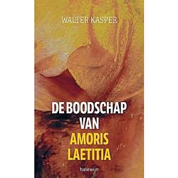 Foto van De boodschap van amoris laetitia