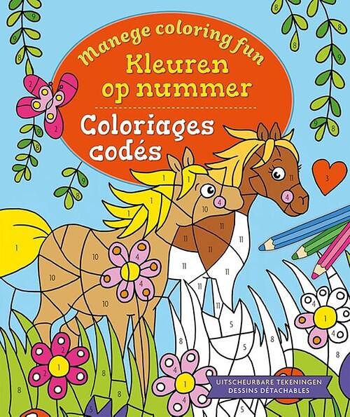 Foto van Manege coloring fun - kleuren op nummer / manege coloring fun - coloriages codés - petra theissen - paperback (9789044765182)