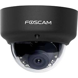 Foto van Foscam d2ep 0d2eps ip bewakingscamera lan 1920 x 1080 pixel
