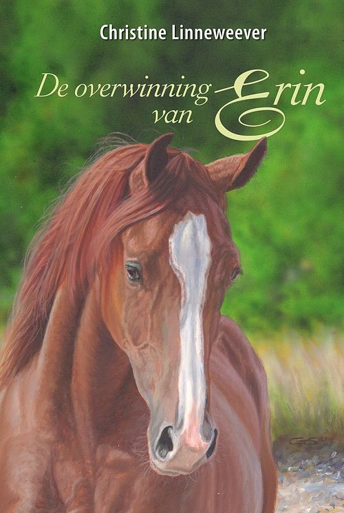 Foto van De overwinning van erin - christine linneweever - ebook