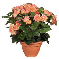 Foto van Zalmroze begonia kunstplant 37 cm in terracotta pot - kunstplanten