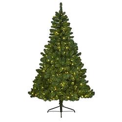 Foto van Kunstkerstboom met verlichting 210 cm imperial pine groen - kunstkerstboom