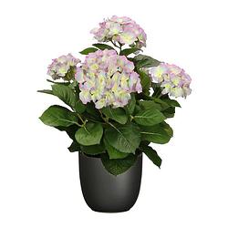 Foto van Hortensia kunstplant/kunstbloemen 45 cm - paars/groen - in pot zwart mat - kunstplanten