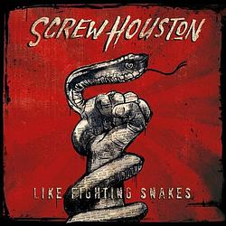 Foto van Like fighting snakes - cd (0041898015004)