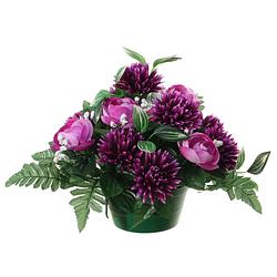 Foto van Louis maes kunstbloemen plantje in pot - kleuren paars - 25 cm - bloemstuk ornament - ranonkels/asters met bladgroen - k