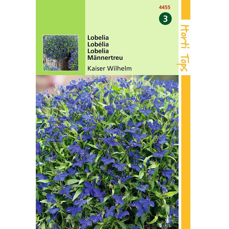 Foto van Hortitops - 2 stuks lobelia erinus comp. kaiser wilhelm