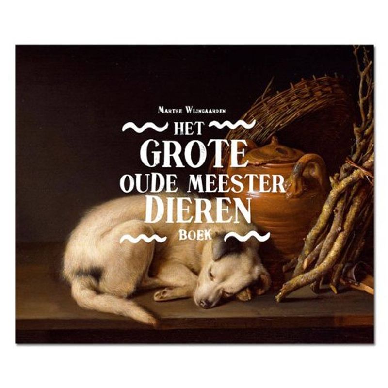 Foto van Het grote oude meester dierenboek