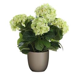 Foto van Hortensia kunstplant/kunstbloemen 45 cm - groen - in pot taupe mat - kunstplanten