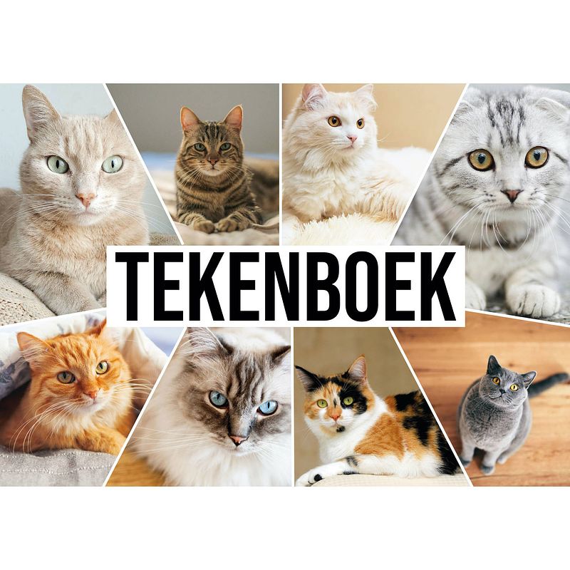 Foto van 2x a4 katten waaier schetsboek/ tekenboek/ kleurboek/ schetsblok wit papier - schetsboeken