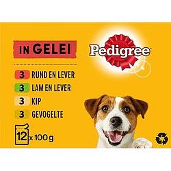 Foto van Pedigree adult maaltijdzakjes vlees in gelei hondenvoer 12 x 100g bij jumbo