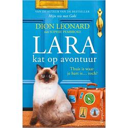 Foto van Lara, kat op avontuur