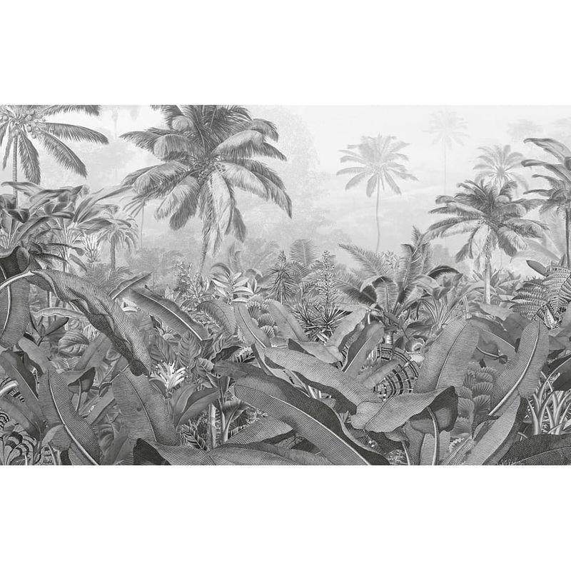 Foto van Komar fotobehang amazonia black and white 400x250 cm