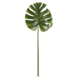 Foto van Monstera blad - groen - 73 cm - leen bakker