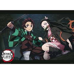 Foto van Abystyle demon slayer tanjiro and nezuko fight position poster 52x38cm