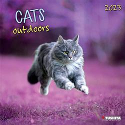 Foto van Cats outdoors kalender 2023