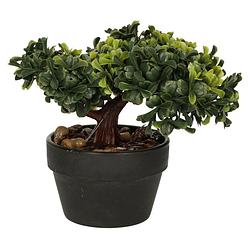 Foto van Kunstplant bonsai boompje in pot - japans decoratie - 19 cm - type bright - kunstplanten