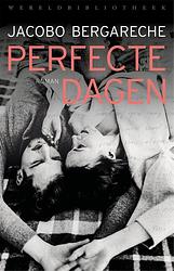 Foto van Perfecte dagen - jacobo bergareche - ebook (9789028452343)