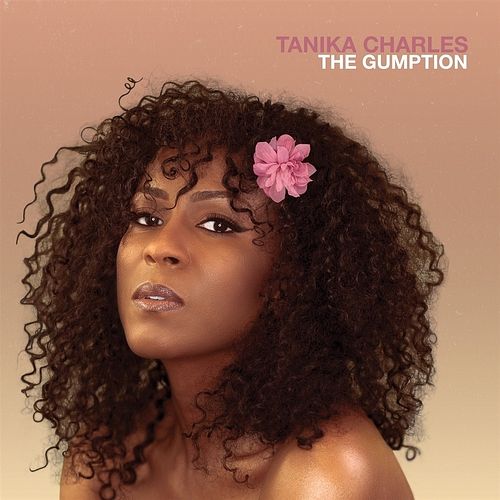 Foto van The gumption - lp (5050580709140)