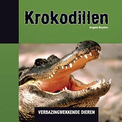 Foto van Krokodillen - verbazingwekkende dieren