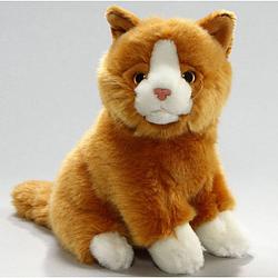 Foto van Pluche knuffel rode kater kat/poes 23 cm - poezen/katten knuffels voor kinderen