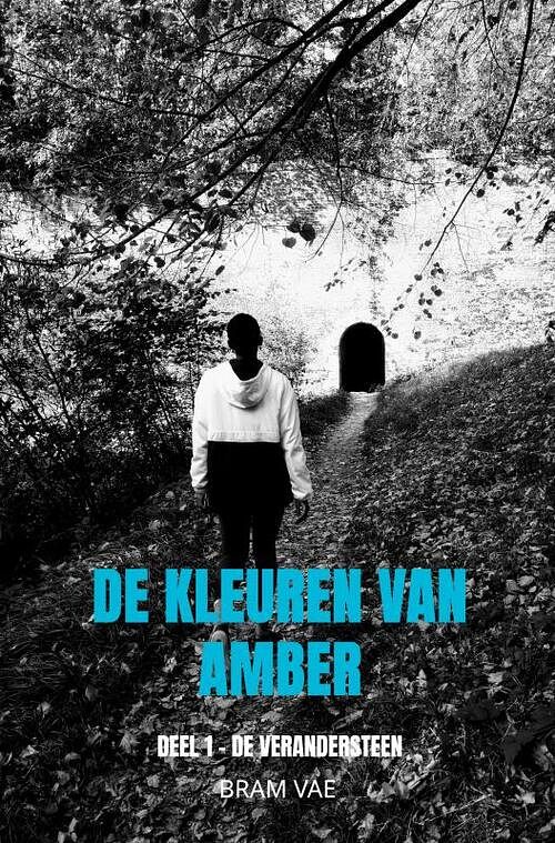 Foto van De kleuren van amber - bram vae - paperback (9789464658934)