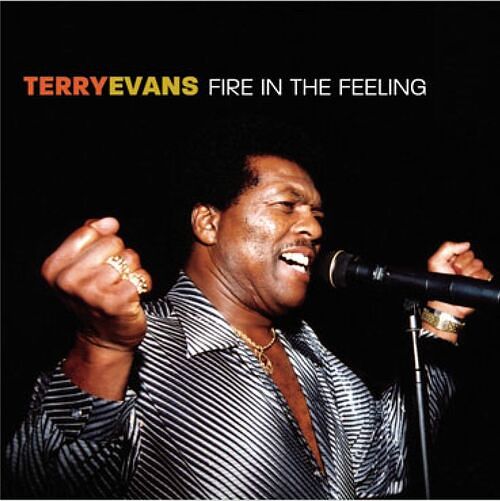 Foto van Fire in the feeling - cd (0618321520024)