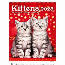 Foto van Kittens kalender 2023