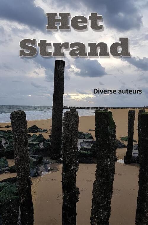 Foto van Het strand - jeany bijloo - paperback (9789462666795)