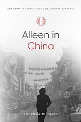 Foto van Alleen in china - zogenaamd david - ebook