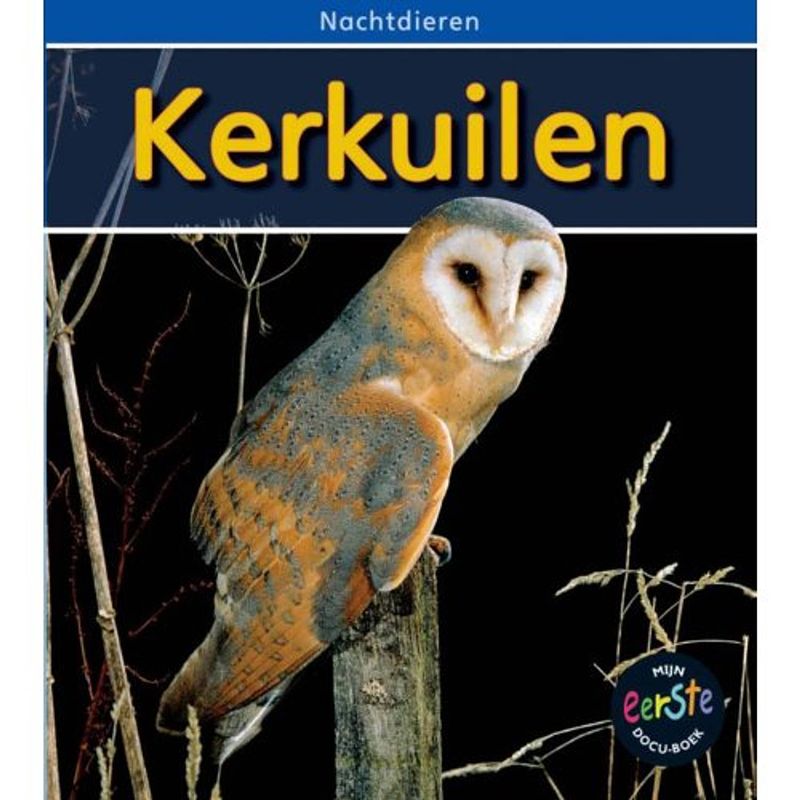 Foto van Kerkuilen - nachtdieren