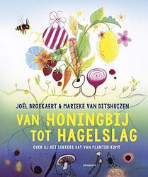 Foto van Van honingbij tot hagelslag - joel broekaert - ebook