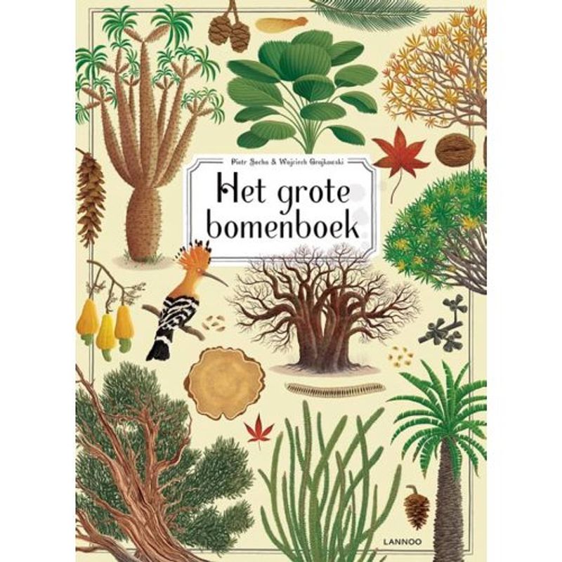 Foto van Het grote bomenboek