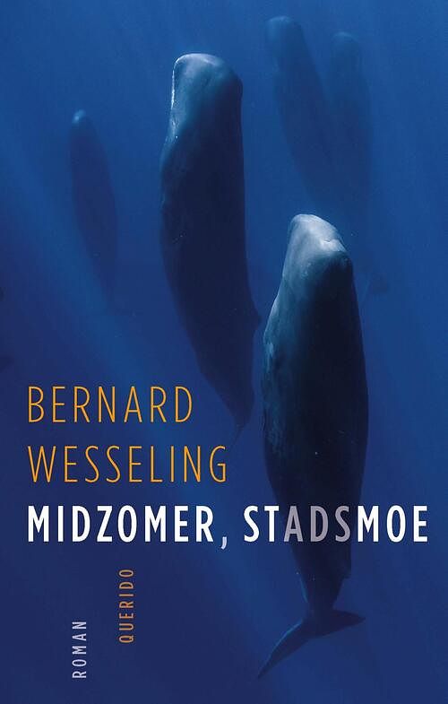 Foto van Midzomer, stadsmoe - bernard wesseling - ebook (9789021421384)