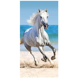 Foto van Animal pictures strandlaken paard - 70 x 140 cm - katoen
