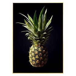 Foto van Decopaneel ananas - 70x50 cm - leen bakker