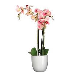 Foto van Orchidee kunstplant roze - 75 cm - inclusief bloempot wit glans - kunstplanten