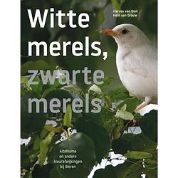 Foto van Zwarte merels, witte merels