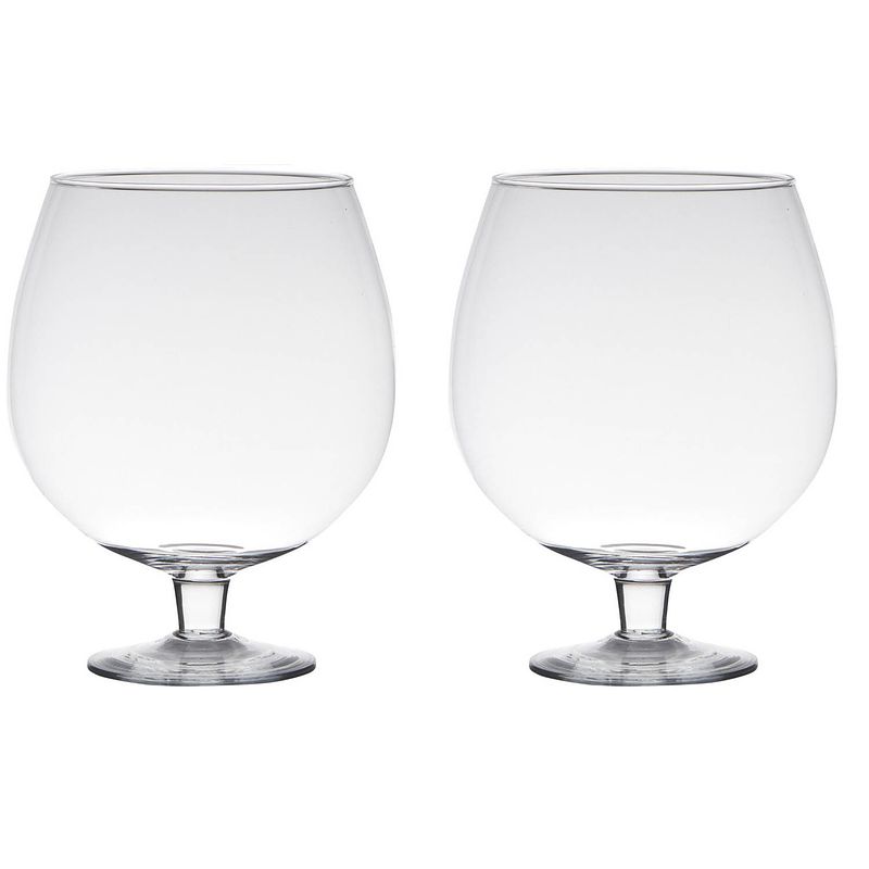 Foto van 2x stuks transparante luxe stijlvolle brandy vaas/vazen van glas 24 cm - vazen