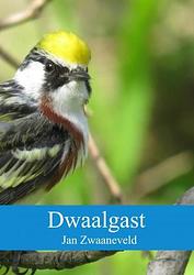 Foto van Dwaalgast - jan zwaaneveld - paperback (9789402194821)