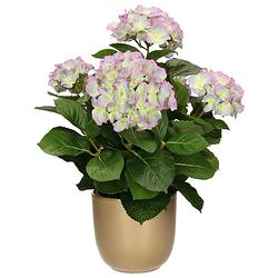 Foto van Hortensia kunstplant/kunstbloemen 45 cm - paars/groen - in pot goud glans - kunstplanten