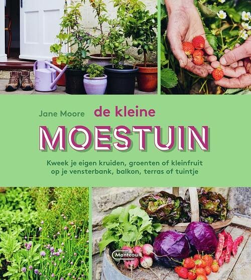 Foto van De kleine moestuin - jane moore - hardcover (9789022338957)