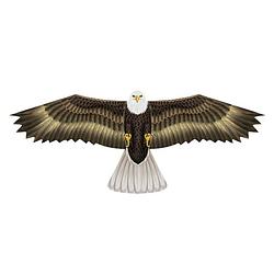 Foto van Amerikaanse zeearend roofvogel vlieger 112 x 50 cm - vliegers