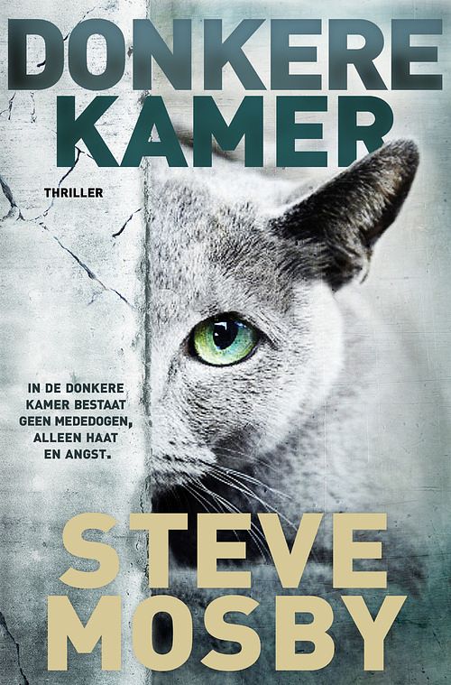 Foto van Donkere kamer - steve mosby - ebook (9789044968811)