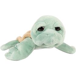 Foto van Suki gifts pluche zeeschildpad jules knuffeldier - cute eyes - mintgroen - 14 cm - knuffel zeedieren