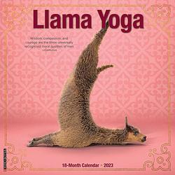 Foto van Llama yoga kalender 2023