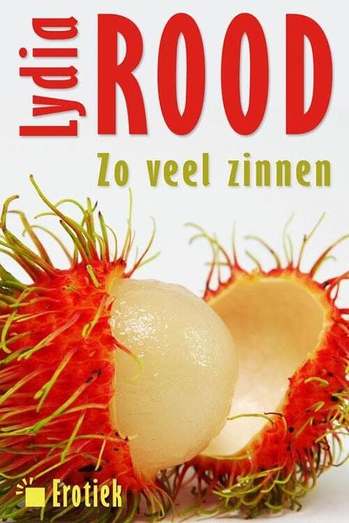 Foto van Zoveel zinnen van lydia rood - lydia rood - ebook (9789490848163)